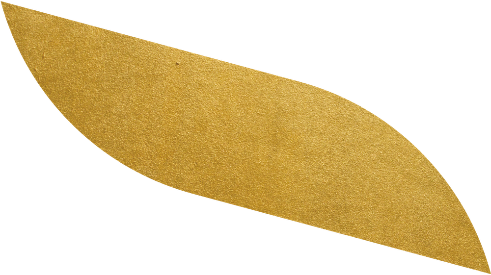 Leaf Image