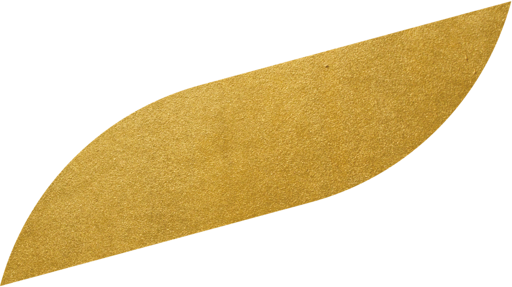 Leaf Image
